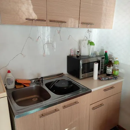 Guest house Max Vikendica *