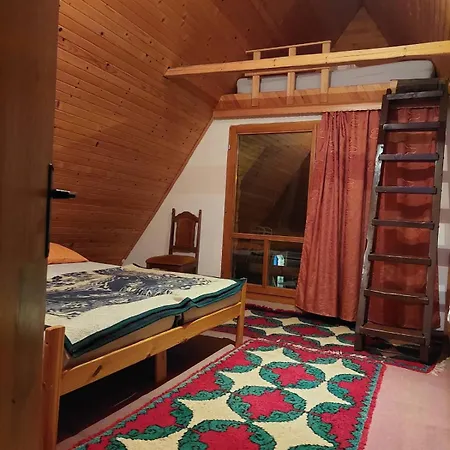 Max Vikendica *